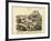 Molluscs, C.1860-null-Framed Giclee Print