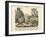 Molluscs, C.1860-null-Framed Giclee Print