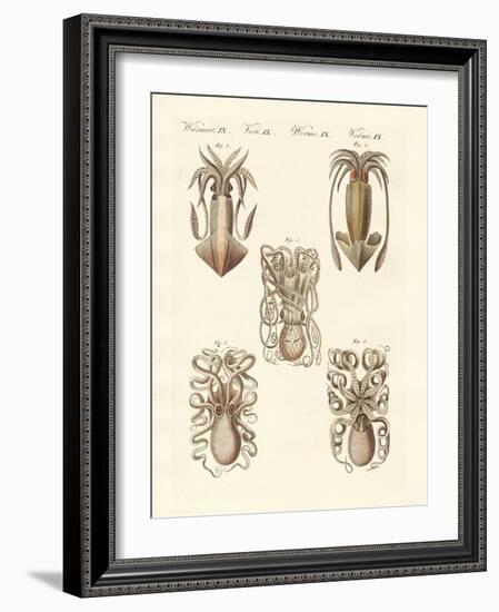 Molluscs or Soft Worms-null-Framed Giclee Print