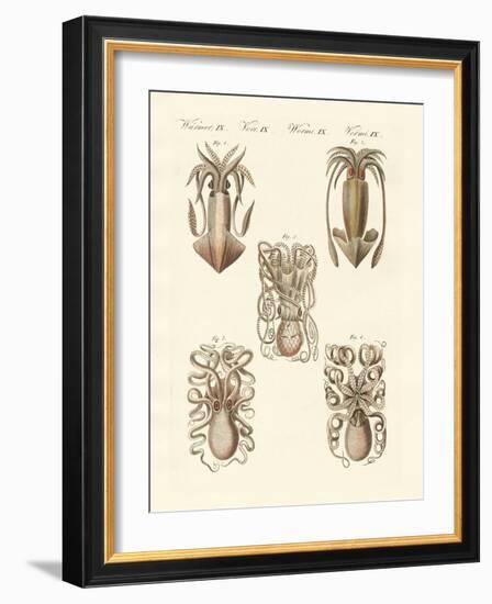 Molluscs or Soft Worms-null-Framed Giclee Print