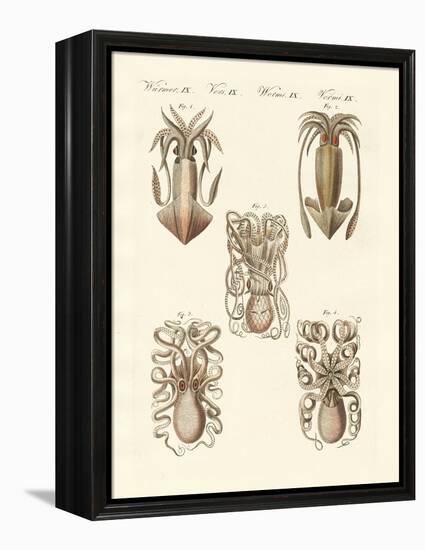 Molluscs or Soft Worms-null-Framed Premier Image Canvas