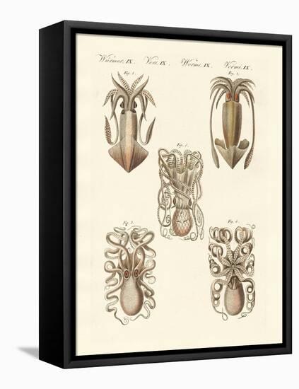 Molluscs or Soft Worms-null-Framed Premier Image Canvas