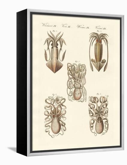 Molluscs or Soft Worms-null-Framed Premier Image Canvas