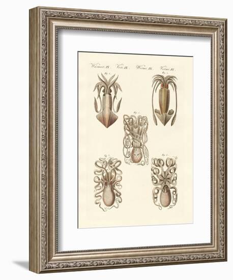 Molluscs or Soft Worms-null-Framed Giclee Print