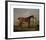 Molly Long-Legs with her Jockey-George Stubbs-Framed Premium Giclee Print