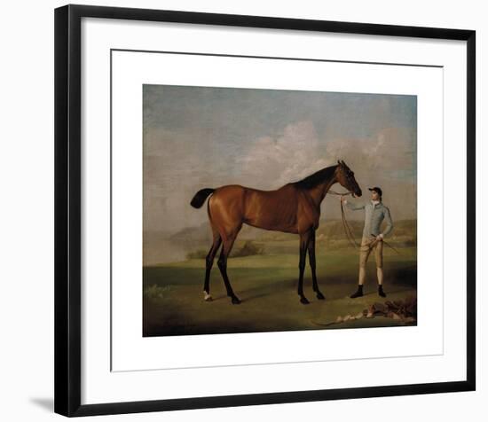 Molly Long-Legs with her Jockey-George Stubbs-Framed Premium Giclee Print
