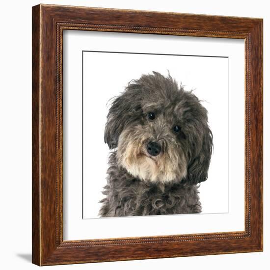 Molly-Assaf Frank-Framed Art Print