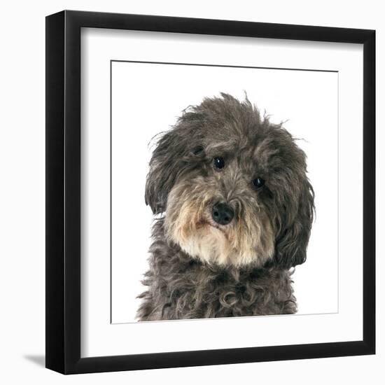 Molly-Assaf Frank-Framed Art Print