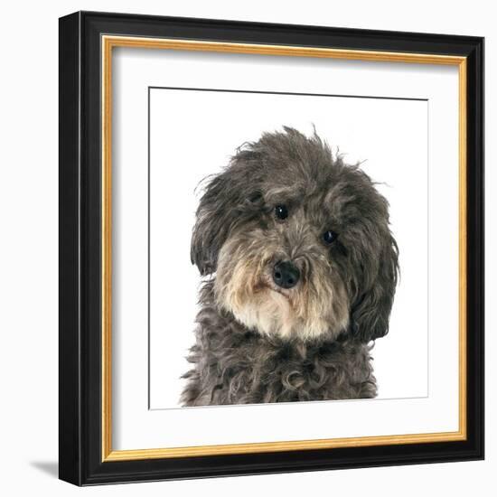 Molly-Assaf Frank-Framed Art Print