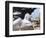 Mollymawk Chick with Adult Bird on Nest. Falkland Islands-Martin Zwick-Framed Photographic Print