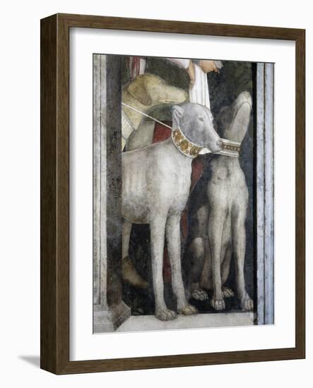 Molossian Dogs, Detail from Meeting Wall, 1465-1474-Andrea Mantegna-Framed Giclee Print