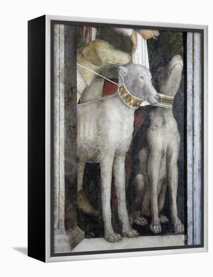 Molossian Dogs, Detail from Meeting Wall, 1465-1474-Andrea Mantegna-Framed Premier Image Canvas