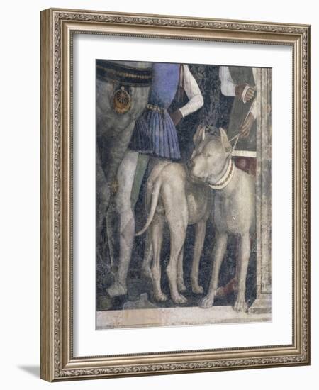 Molossian Dogs, Detail from Meeting Wall-Andrea Mantegna-Framed Giclee Print