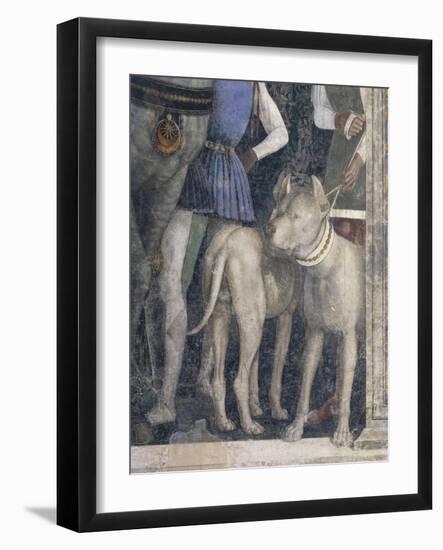 Molossian Dogs, Detail from Meeting Wall-Andrea Mantegna-Framed Giclee Print