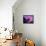 Molten Rock-Thomas Leung-Framed Premier Image Canvas displayed on a wall