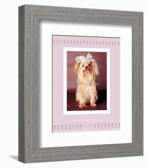 Mom's Favourite-Rachael Hale-Framed Art Print