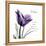 Mom Tulip-Albert Koetsier-Framed Stretched Canvas