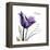 Mom Tulip-Albert Koetsier-Framed Stretched Canvas