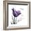 Mom Tulip-Albert Koetsier-Framed Premium Giclee Print