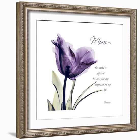 Mom Tulip-Albert Koetsier-Framed Premium Giclee Print