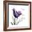 Mom Tulip-Albert Koetsier-Framed Premium Giclee Print