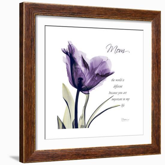 Mom Tulip-Albert Koetsier-Framed Premium Giclee Print