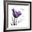 Mom Tulip-Albert Koetsier-Framed Premium Giclee Print