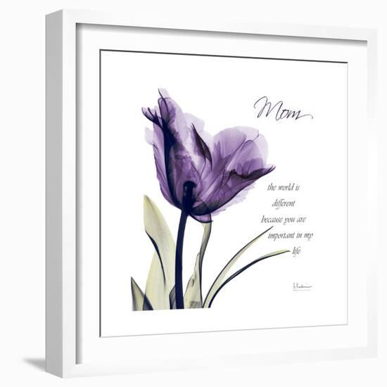 Mom Tulip-Albert Koetsier-Framed Premium Giclee Print