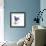 Mom Tulip-Albert Koetsier-Framed Premium Giclee Print displayed on a wall