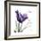 Mom Tulip-Albert Koetsier-Framed Premium Giclee Print