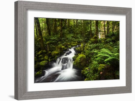 Moment in Nature-Natalie Mikaels-Framed Photographic Print