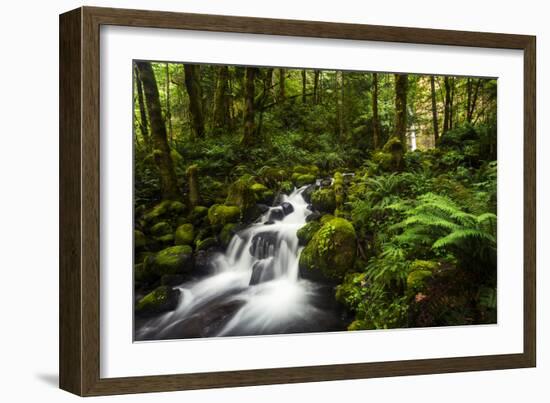 Moment in Nature-Natalie Mikaels-Framed Photographic Print