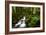 Moment in Nature-Natalie Mikaels-Framed Photographic Print