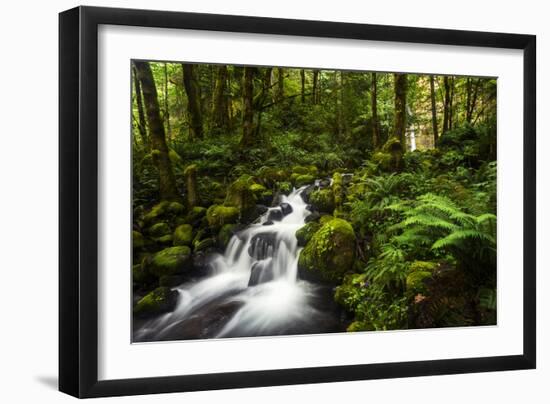 Moment in Nature-Natalie Mikaels-Framed Photographic Print