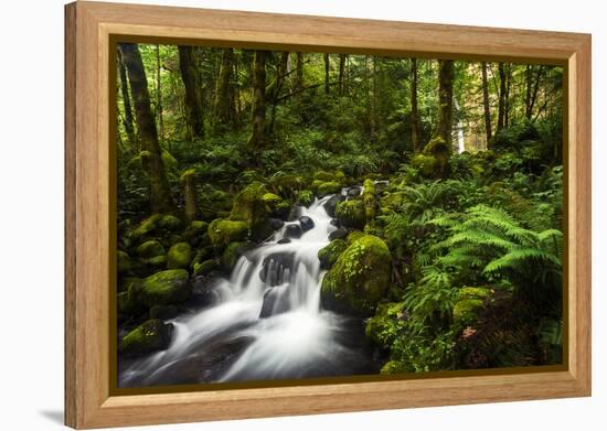 Moment in Nature-Natalie Mikaels-Framed Premier Image Canvas