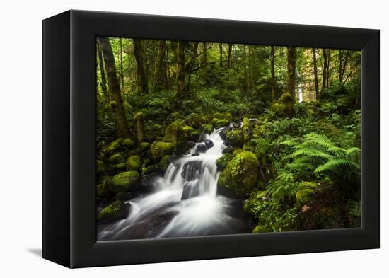 Moment in Nature-Natalie Mikaels-Framed Premier Image Canvas