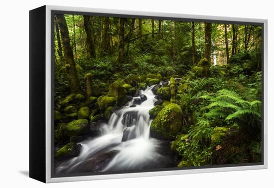 Moment in Nature-Natalie Mikaels-Framed Premier Image Canvas