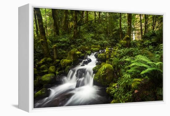 Moment in Nature-Natalie Mikaels-Framed Premier Image Canvas