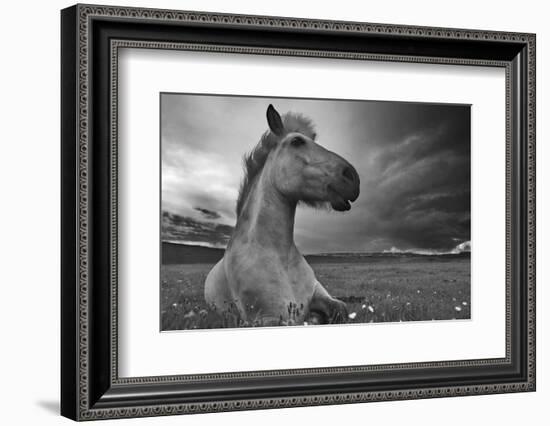 Moment in Time-Bragi Ingibergsson --Framed Photographic Print