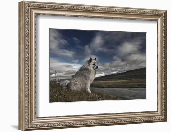 Moment in Time-Bragi Ingibergsson --Framed Photographic Print