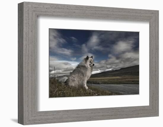 Moment in Time-Bragi Ingibergsson --Framed Photographic Print