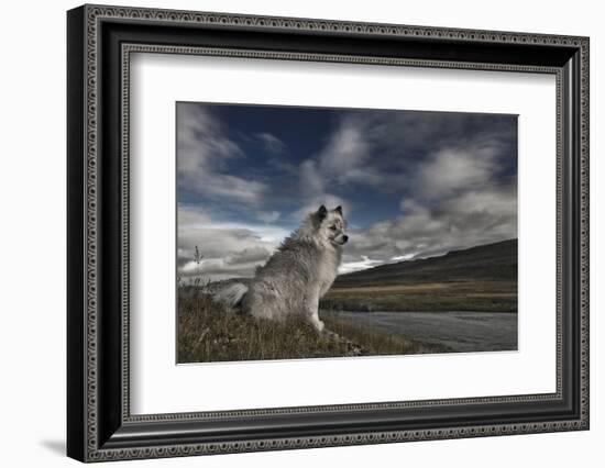 Moment in Time-Bragi Ingibergsson --Framed Photographic Print