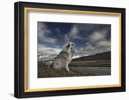 Moment in Time-Bragi Ingibergsson --Framed Photographic Print