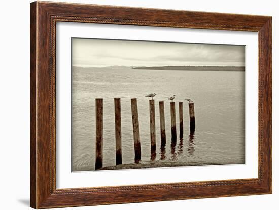 Moments Passing By-Incredi-Framed Photographic Print