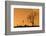 Moments-Dan Mirica-Framed Photographic Print