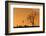 Moments-Dan Mirica-Framed Photographic Print