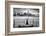 Momentum-Michel Guyot-Framed Photographic Print