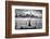 Momentum-Michel Guyot-Framed Photographic Print