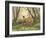 Moms Little Spring Blossoms-Crista Forest-Framed Giclee Print