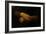 Mona Lisa, Detail of Her Hands, circa 1503-06-Leonardo da Vinci-Framed Giclee Print